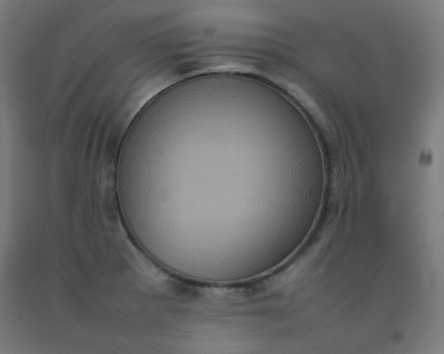 X0000092221281200709281036