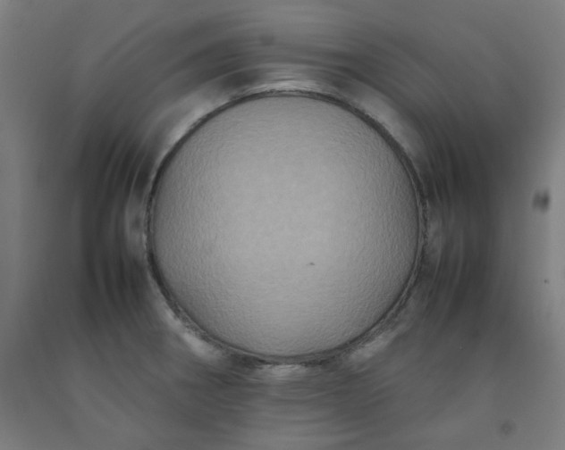 X0000092221282200709281036