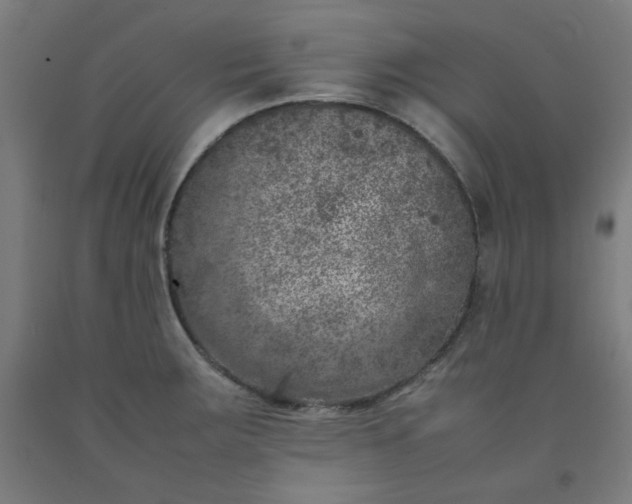 X0000092221283200709281036