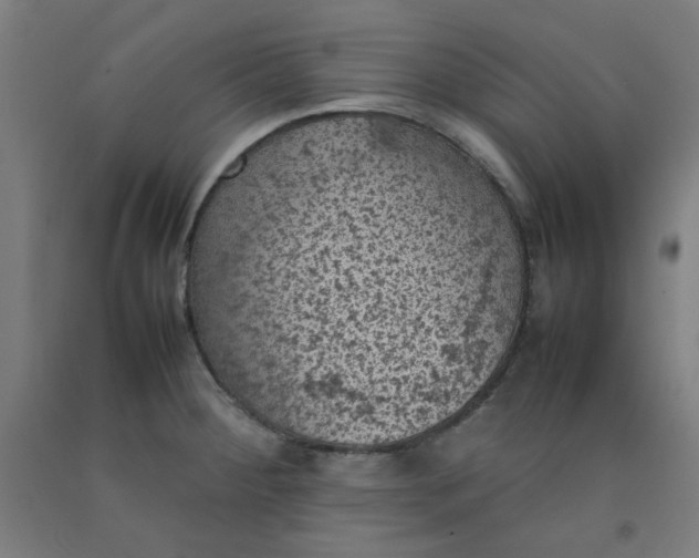 X0000092221284200709281036