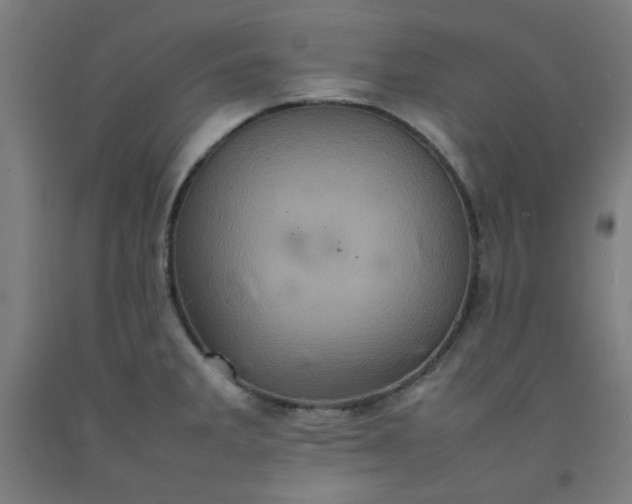 X0000092221285200709281036