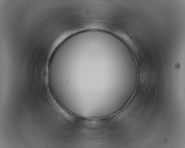 X0000092221286200709281036