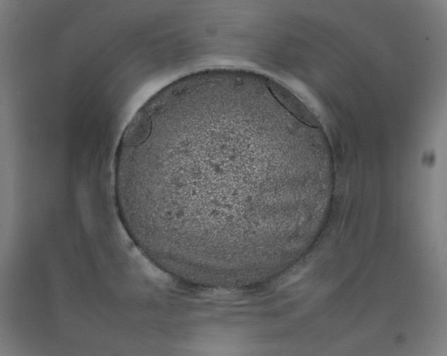 X0000092221287200709281036