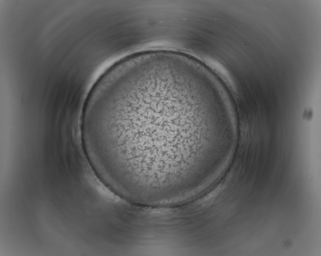 X0000092221288200709281036