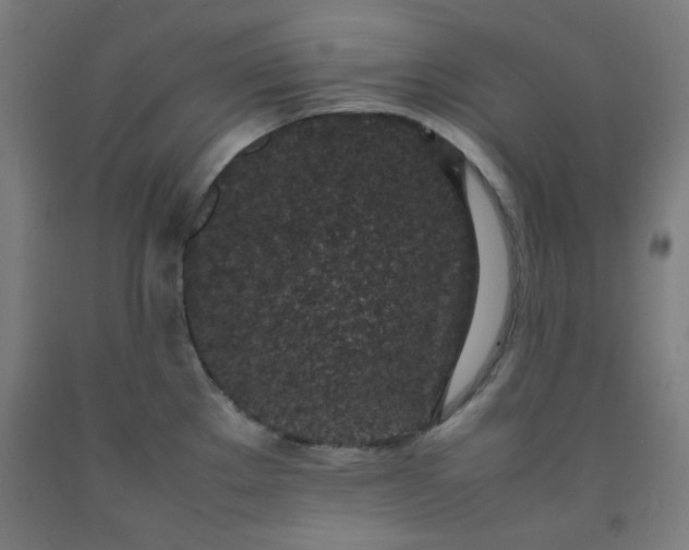 X0000092221289200709281036