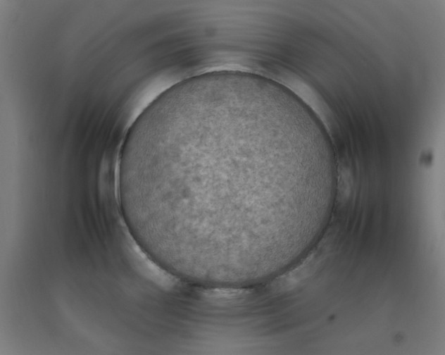 X0000092221290200709281036
