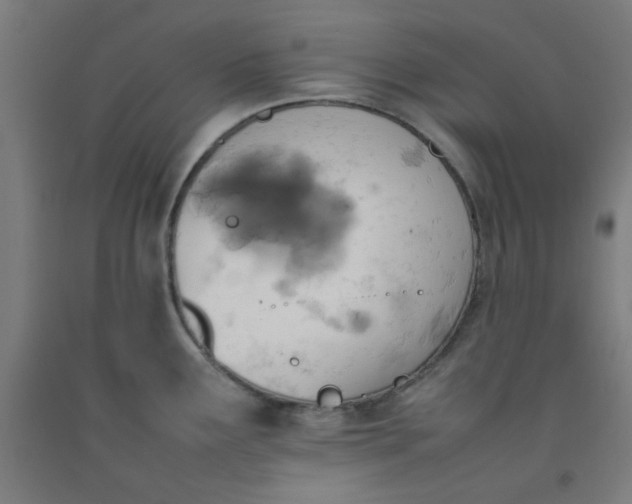 X0000092221291200709281036