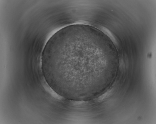 X0000092221292200709281036
