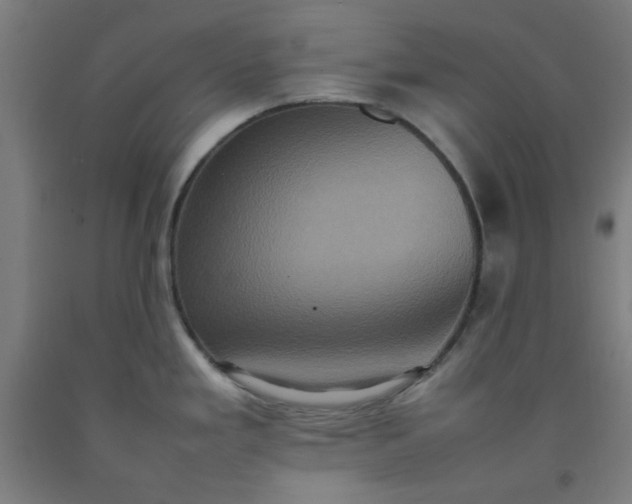 X0000092221293200709281036