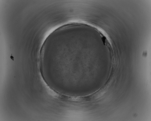 X0000092221295200709281036