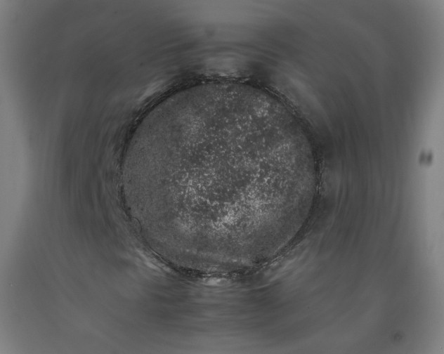 X0000092221297200709281035