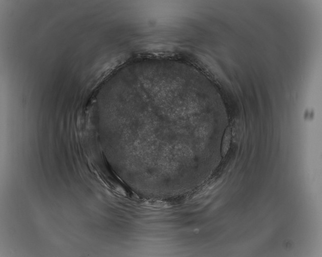 X0000092221298200709281035