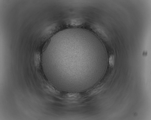 X0000092221299200709281035