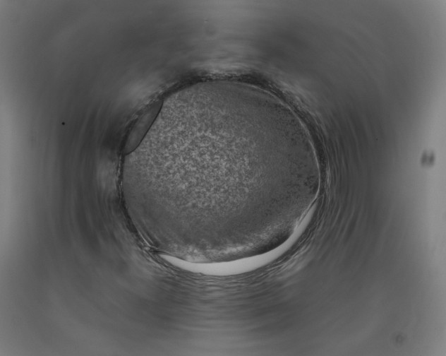 X0000092221300200709281035