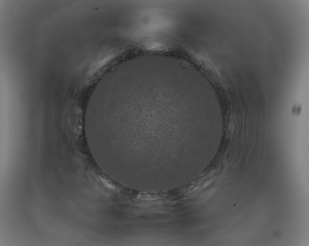 X0000092221301200709281035