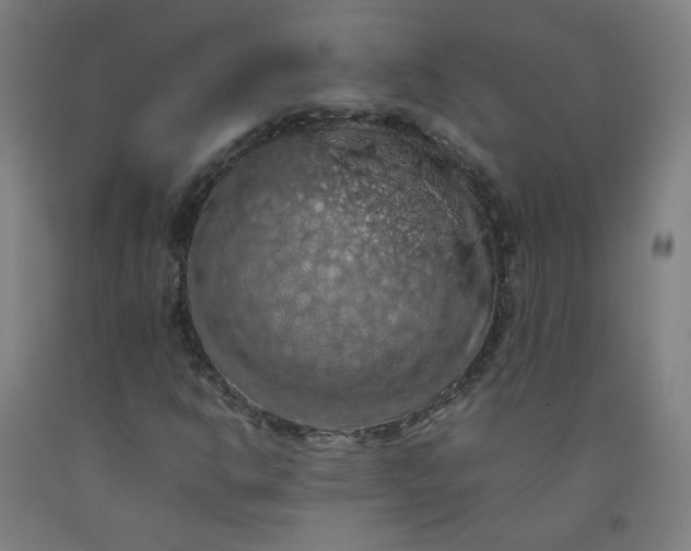 X0000092221302200709281035