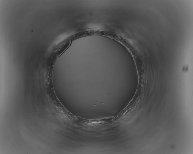 X0000092221303200709281035