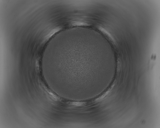 X0000092221305200709281035