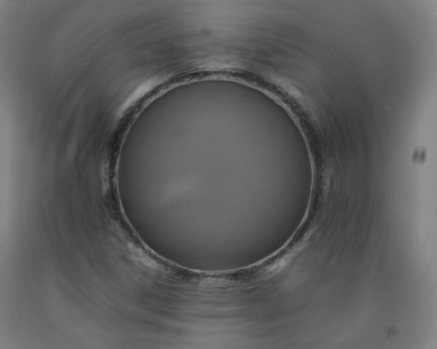 X0000092221306200709281035