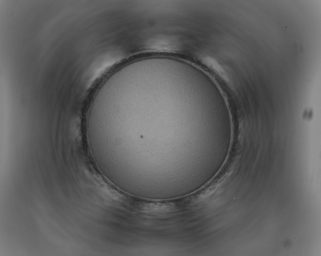 X0000092221307200709281035