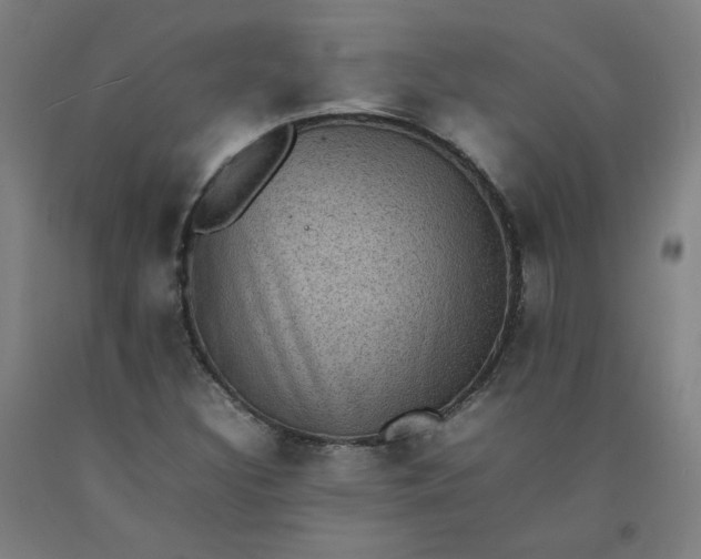 X0000092221308200709281035