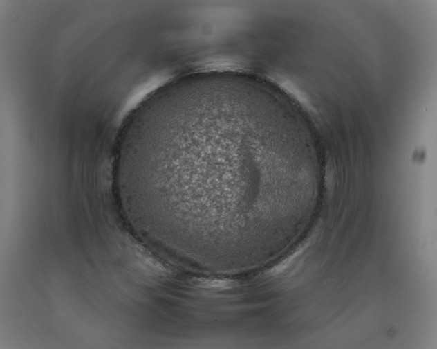 X0000092221309200709281035