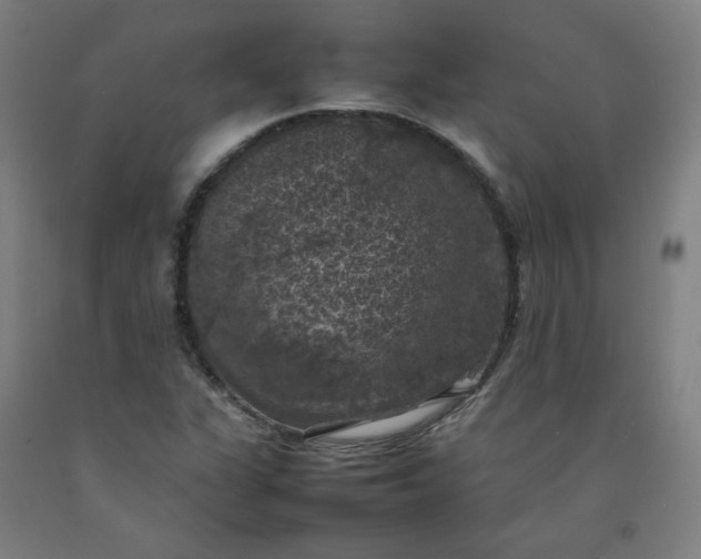 X0000092221311200709281035