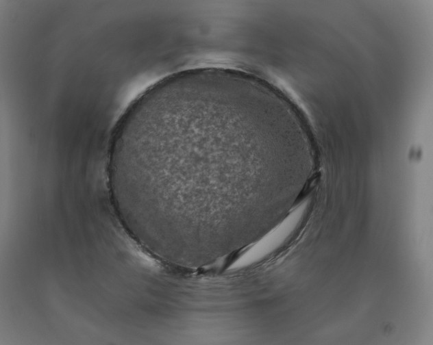 X0000092221312200709281035
