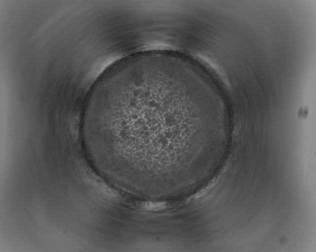 X0000092221313200709281035