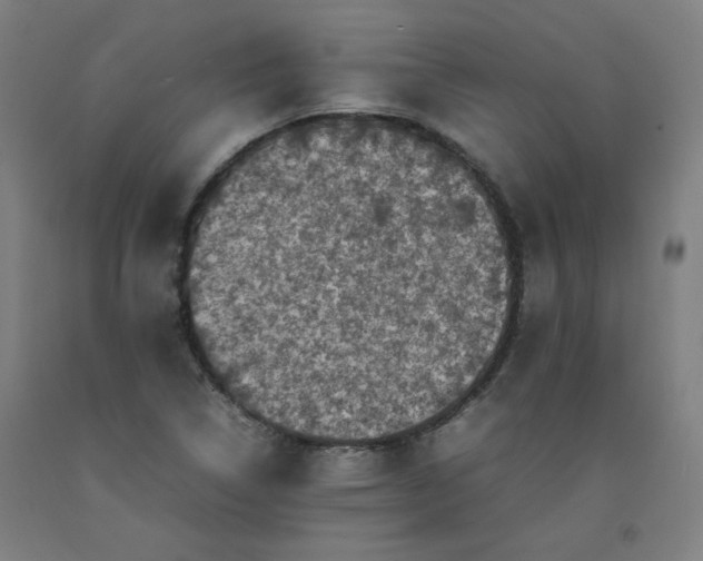 X0000092221314200709281035
