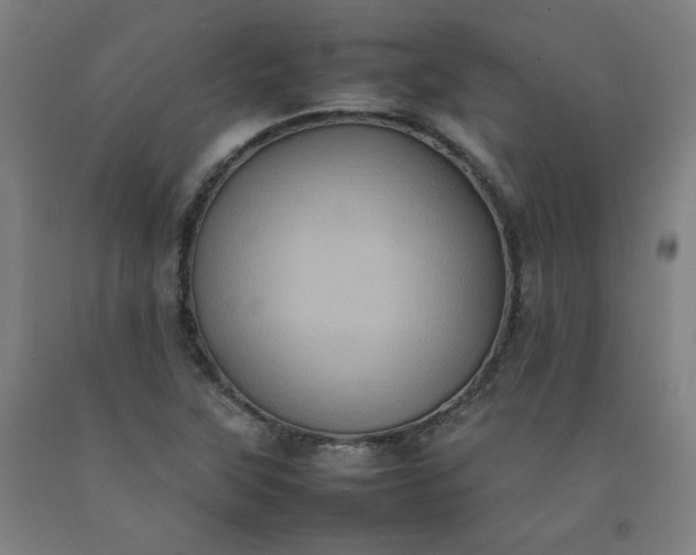 X0000092221315200709281035