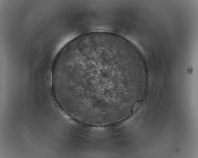 X0000092221317200709281035