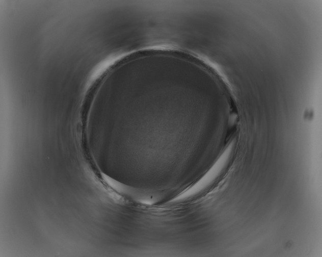 X0000092221319200709281035
