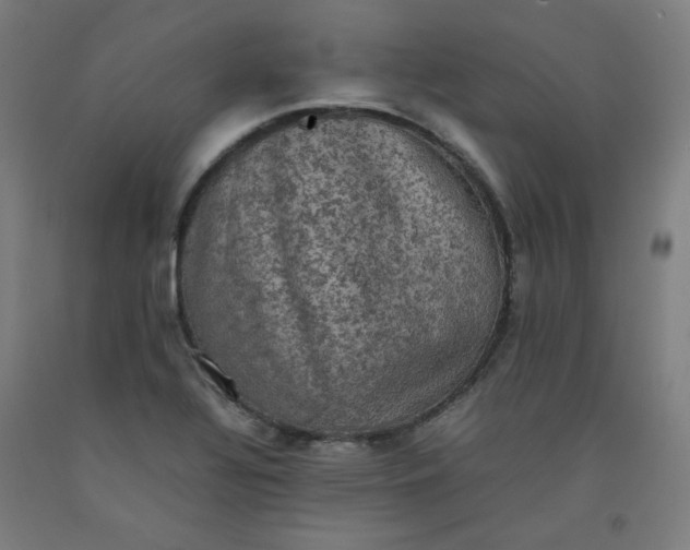 X0000092221320200709281035