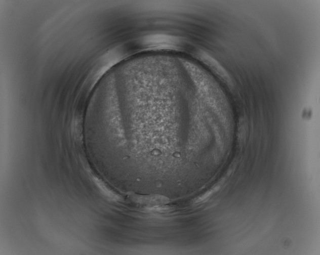 X0000092221321200709281035