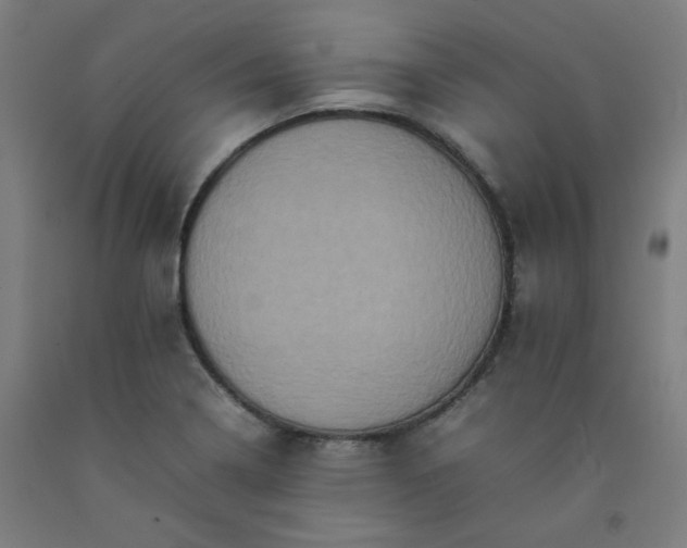 X0000092221322200709281035