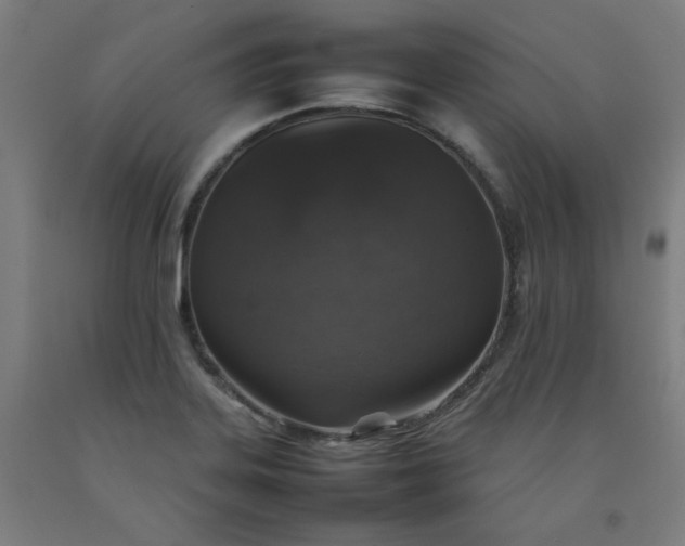 X0000092221323200709281035