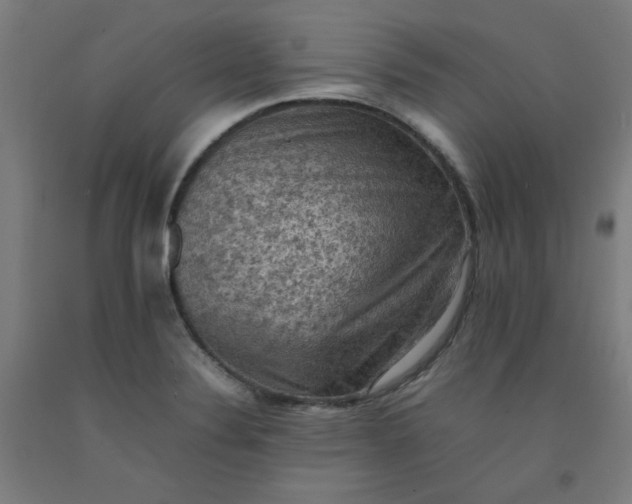 X0000092221324200709281035