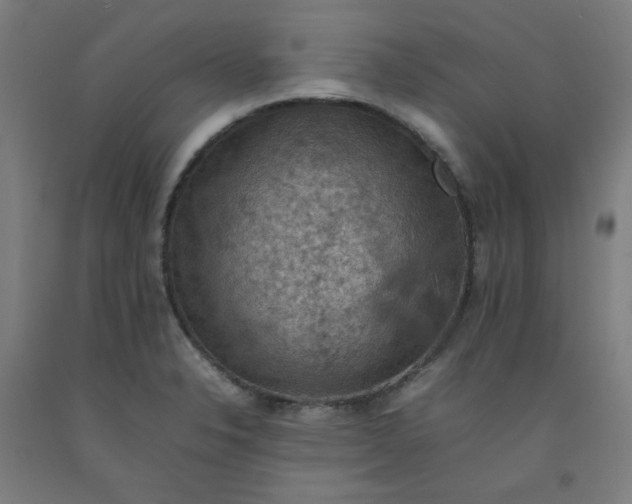X0000092221326200709281035