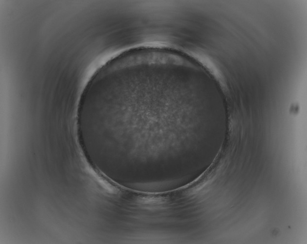 X0000092221327200709281035