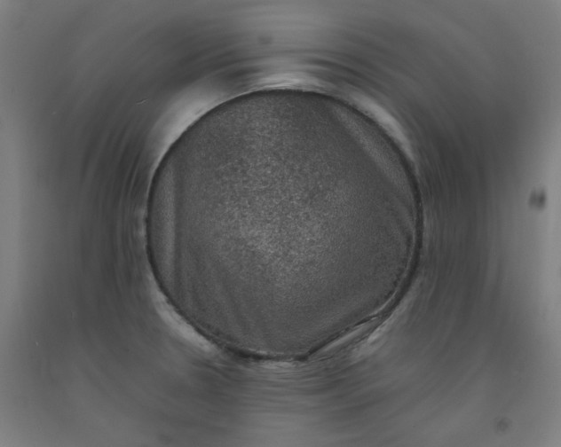 X0000092221330200709281035