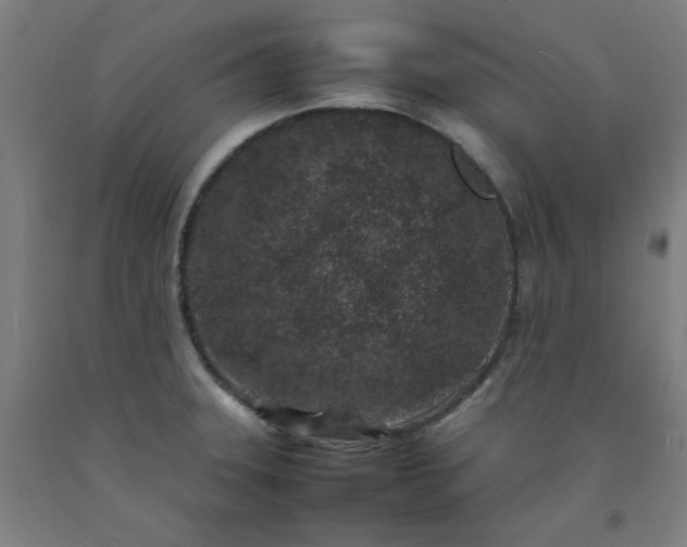 X0000092221331200709281035