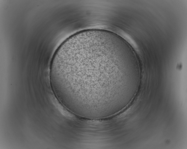 X0000092221332200709281035