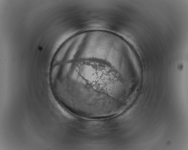 X0000092221333200709281035
