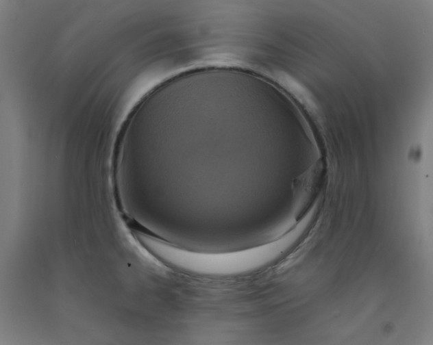 X0000092221334200709281035