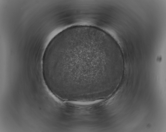 X0000092221335200709281035