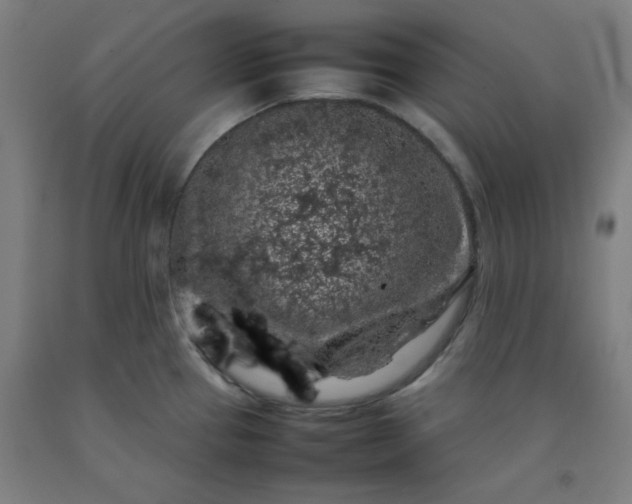 X0000092221337200709281035
