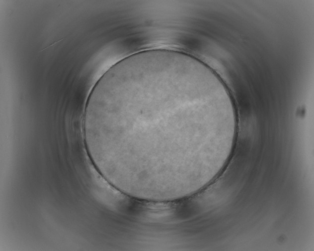 X0000092221338200709281035