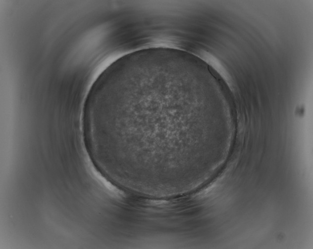 X0000092221339200709281035