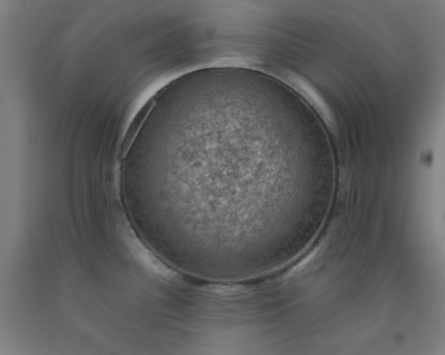 X0000092221340200709281035